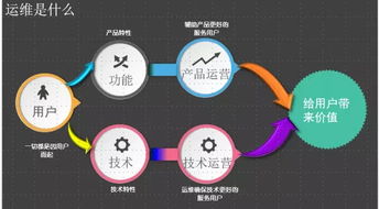 深入聊聊互聯網應用運維與網絡技術服務 數字世界的幕后支柱